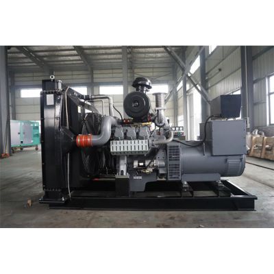 200kw威曼柴油發(fā)電機組-威曼6缸柴油機D11A2柴油發(fā)電機組,缸徑/行程：128/142mm,柴油發(fā)電機組水冷發(fā)動(dòng)機功率264KW,柴油發(fā)電機組配套馬拉松斯坦福發(fā)電機。廠(chǎng)價(jià)直銷(xiāo)歡迎選購：13773399855。